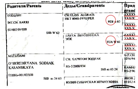 Siberian pedigree with foreign ancestors